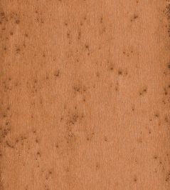 Stellar Wallpaper by Arte 23 Stellar Wallpaper by Arte 23