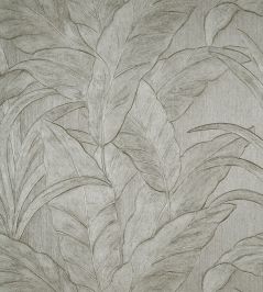 Musa Wallpaper by Arte Musa Wallpaper by Arte