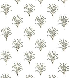 Aven Fabric by Clarke & Clarke Olive Aven Fabric by Clarke & Clarke Olive