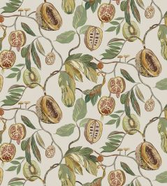 Baby Guava Fabric by Arley House Linen Baby Guava Fabric by Arley House Linen