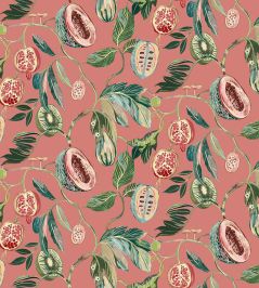 Baby Guava Fabric by Arley House Sorbet Baby Guava Fabric by Arley House Sorbet