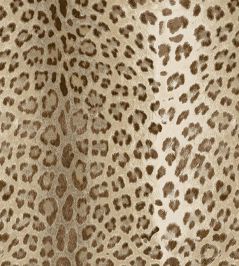 Baby Leopard Fabric by Arley House Sand Baby Leopard Fabric by Arley House Sand