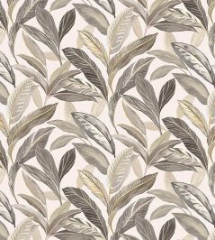 Baby Oasis Fabric by Arley House Ecru Baby Oasis Fabric by Arley House Ecru
