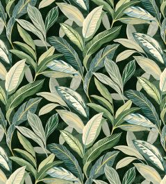 Baby Oasis Fabric by Arley House Evergreen Baby Oasis Fabric by Arley House Evergreen