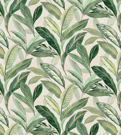 Baby Oasis Fabric by Arley House Spring Baby Oasis Fabric by Arley House Spring