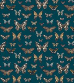 Baby Taman Fabric by Arley House Aegean Baby Taman Fabric by Arley House Aegean