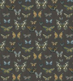 Baby Taman Fabric by Arley House Ash Grey Baby Taman Fabric by Arley House Ash Grey
