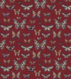 Baby Taman Fabric by Arley House Rust Baby Taman Fabric by Arley House Rust