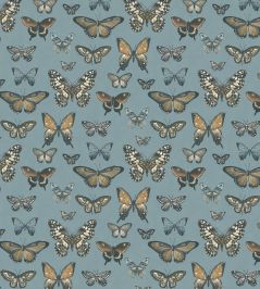Baby Taman Fabric by Arley House Sky Baby Taman Fabric by Arley House Sky