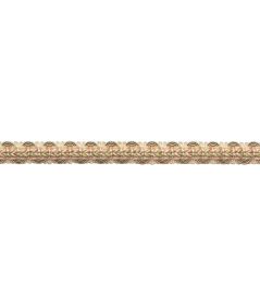 Bagatelle Braided Gimp Trimming by Samuel & Sons Bloom Bagatelle Braided Gimp Trimming by Samuel & Sons Bloom