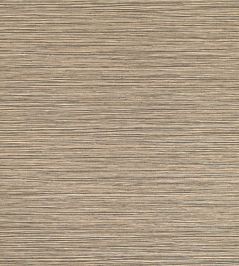 Bahia Wallpaper by Osborne & Little Charcoal Bahia Wallpaper by Osborne & Little Charcoal