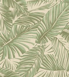 Bali Wallpaper by Missoni Green Bali Wallpaper by Missoni Green
