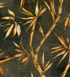Bamboo Wallpaper by Avalana Forest Green Bamboo Wallpaper by Avalana Forest Green