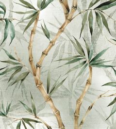 Bamboo Wallpaper by Avalana Pale Jade Bamboo Wallpaper by Avalana Pale Jade