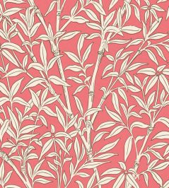 Bamboo Forest Wallpaper by Cole & Son Chalk on Rouge Bamboo Forest Wallpaper by Cole & Son Chalk on Rouge