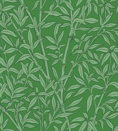 Bamboo Forest Wallpaper by Cole & Son Emerald Bamboo Forest Wallpaper by Cole & Son Emerald