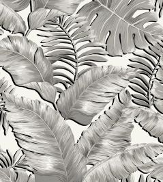 Banana Leaves Wallpaper by Brand McKenzie Black / White Banana Leaves Wallpaper by Brand McKenzie Black / White