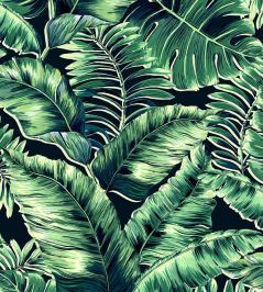 Banana Leaves Wallpaper by Brand McKenzie Leaf Green Banana Leaves Wallpaper by Brand McKenzie Leaf Green