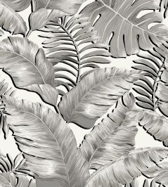 Banana Leaves Max Wallpaper by Brand McKenzie Black / White Banana Leaves Max Wallpaper by Brand McKenzie Black / White