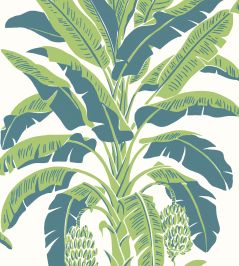 Banana Tree Wallpaper by Thibaut Green and Blue Banana Tree Wallpaper by Thibaut Green and Blue