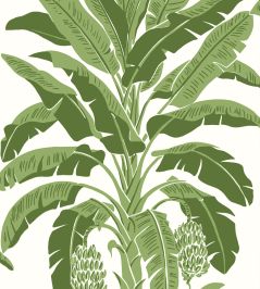 Banana Tree Wallpaper by Thibaut Green Banana Tree Wallpaper by Thibaut Green