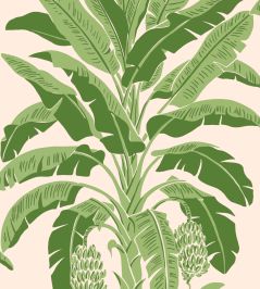 Banana Tree Wallpaper by Thibaut Pink and Green Banana Tree Wallpaper by Thibaut Pink and Green