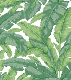 Banane Wallpaper by Jannelli&Volpi Green Banane Wallpaper by Jannelli&Volpi Green