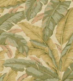 Banane Grasscloth Wallpaper by Jannelli&Volpi Sage Banane Grasscloth Wallpaper by Jannelli&Volpi Sage