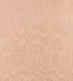 Bandra Fabric by Zinc Blush Bandra Fabric by Zinc Blush