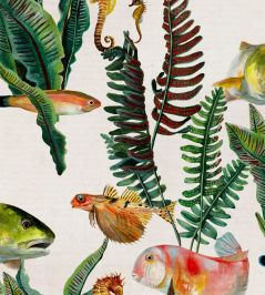 Bank of Fish Wallpaper by Coordonne Swan Bank of Fish Wallpaper by Coordonne Swan