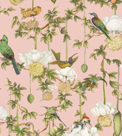 Baobab Botanica Wallpaper by Cole & Son Blush Baobab Botanica Wallpaper by Cole & Son Blush