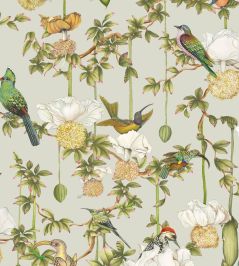 Baobab Botanica Wallpaper by Cole & Son Duck Egg Baobab Botanica Wallpaper by Cole & Son Duck Egg