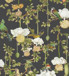 Baobab Botanica Wallpaper by Cole & Son Onyx Baobab Botanica Wallpaper by Cole & Son Onyx