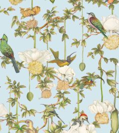 Baobab Botanica Wallpaper by Cole & Son Sky Blue Baobab Botanica Wallpaper by Cole & Son Sky Blue
