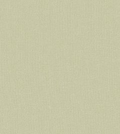 Baobab Wallpaper by Jannelli&Volpi Beige Baobab Wallpaper by Jannelli&Volpi Beige