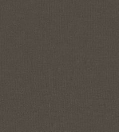 Baobab Wallpaper by Jannelli&Volpi Black Baobab Wallpaper by Jannelli&Volpi Black