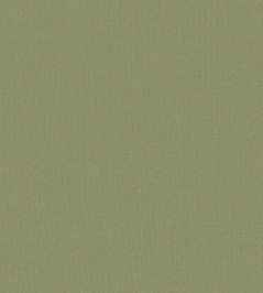 Baobab Wallpaper by Jannelli&Volpi Green Baobab Wallpaper by Jannelli&Volpi Green