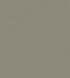 Baobab Wallpaper by Jannelli&Volpi Grey Baobab Wallpaper by Jannelli&Volpi Grey
