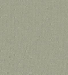 Baobab Wallpaper by Jannelli&Volpi Medium Grey Baobab Wallpaper by Jannelli&Volpi Medium Grey