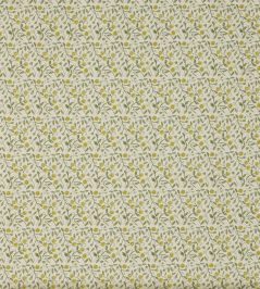 Barbara Fabric by Prestigious Textiles Cucumber Barbara Fabric by Prestigious Textiles Cucumber