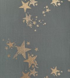 All Star Wallpaper by Barneby Gates Gunmetal All Star Wallpaper by Barneby Gates Gunmetal