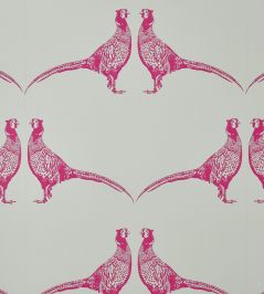 Pheasant Wallpaper by Barneby Gates Pink Pheasant Wallpaper by Barneby Gates Pink