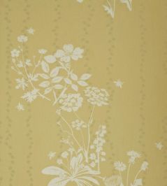 Wild Meadow Wallpaper by Barneby Gates Dandelion Wild Meadow Wallpaper by Barneby Gates Dandelion