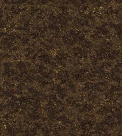 Bearded Leopard Wallpaper by Moooi Blackened Gold Bearded Leopard Wallpaper by Moooi Blackened Gold