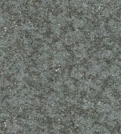 Bearded Leopard Wallpaper by Moooi Fossil Grey Bearded Leopard Wallpaper by Moooi Fossil Grey