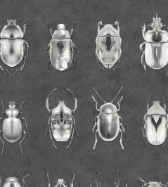 Beetle Jewels Wallpaper by Woodchip & Magnolia Silver/Grey Beetle Jewels Wallpaper by Woodchip & Magnolia Silver/Grey