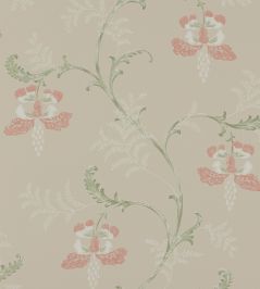 Bellflower Wallpaper by Colefax and Fowler Pink/Green Bellflower Wallpaper by Colefax and Fowler Pink/Green