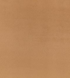 Benjamin Fabric by Zinc Camel Benjamin Fabric by Zinc Camel