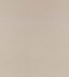 Benjamin Fabric by Zinc Silver Grey Benjamin Fabric by Zinc Silver Grey