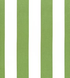 Bergamo Stripe Fabric by Thibaut Emerald Bergamo Stripe Fabric by Thibaut Emerald